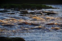 DSC_5859.jpg