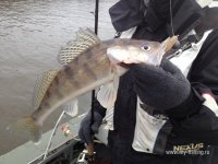 IMG_0584.JPG