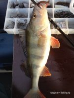 IMG_0624.JPG