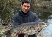 chub england uk u.k. big fishes huge world record largest IGFA  small biggest fish lake enorme o.jpg