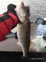 IMG_0662.JPG