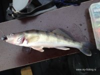 IMG_0666.JPG