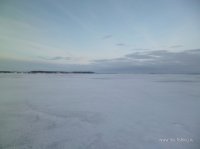 P1020050.JPG