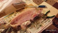 20131229_201819.jpg