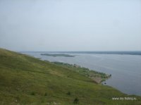 DSC06390.JPG