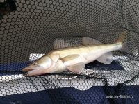 IMG_0728.JPG