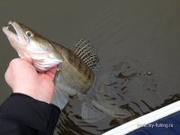 IMG_0730.JPG