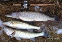 IMG_0742.JPG