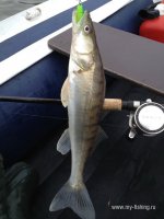 IMG_0750.JPG