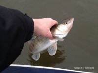 IMG_0753.JPG