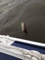 IMG_0762.JPG
