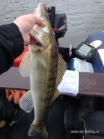 IMG_0798.JPG