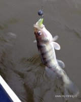 IMG_0800.JPG