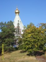 S6000509.JPG
