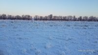20140125_094932.jpg