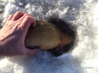 IMG_0898.JPG