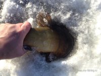 IMG_0899.JPG