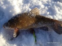 IMG_0897.JPG