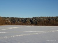 DSC01947.JPG