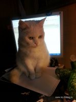 20140212_144252.jpg