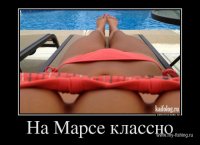 1390876231_001.jpg