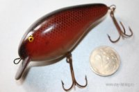Salmo.jpg