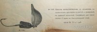Изображение 9221.jpg