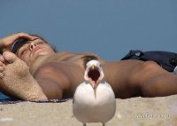 getImage.jpg