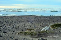 DSC_5520.jpg
