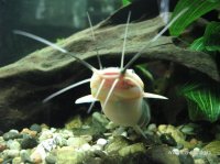 IMG_6401.JPG
