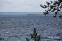 IMG_1775.JPG