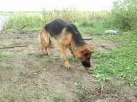 20140829_184718.jpg
