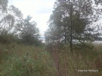 20140828_150141.jpg