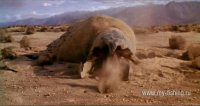 graboid.jpg