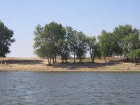 берег.jpg