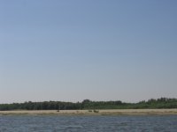 коса=остров.jpg