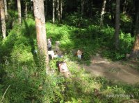IMG_7454.JPG