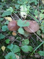 20140908_190533.jpg