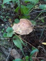 20140908_190745.jpg