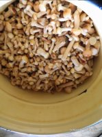DSCN7558.JPG