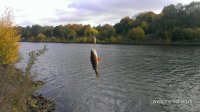 IMAG2592_BURST003.jpg