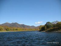 IMG_7866.JPG