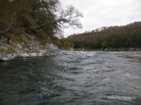 IMG_8014.JPG