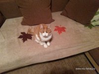 IMG_20141115_005638.jpg