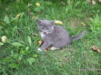 IMG_6560.JPG