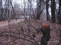 IMG_8721.JPG