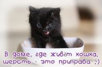 getImage (2).jpg