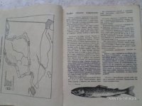 4903127718_6.jpg