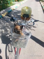 20140611_101400.jpg
