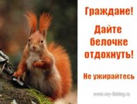 Белочка.jpg